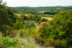 osz2_7510