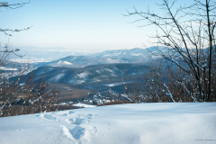 psasvar_3467