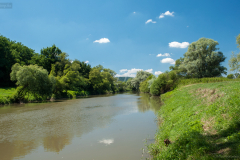 sajo_6709