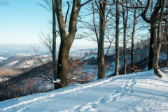 szhely_3806