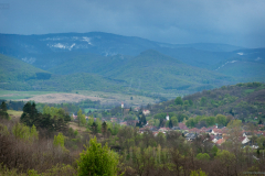 viharelott_4773