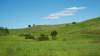 dombok_6086