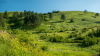 domboldal_6429