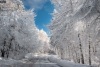 feherbe_3577
