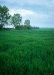 fuben_4830