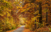 osziut_7838