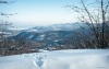 psasvar_3467