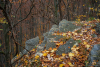 szikla_7996