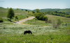tajloval_5824