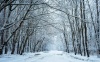 teliseta_3312_