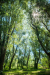 tiszatonal_5741