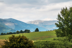 Hegyteto_k_3456