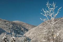 Palotaszallo_fele_9683