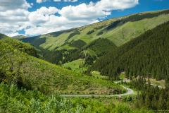 Skanyar_2066