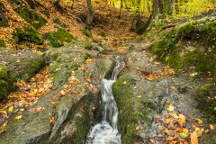 csobogo_k_5688