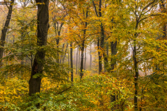 erdo_k_5457
