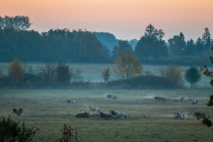 hajnal_k_4481