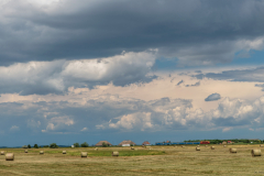 hortobagy_0880