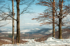 matra_telen_9438