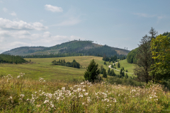 mezo_k_3409