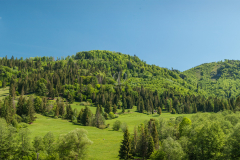panorama_1781_1782