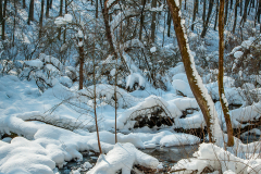 patak_0270