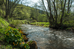 patak_1539