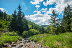 patak_2100