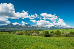 tatra_2144