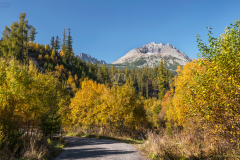 tatra_k_4879