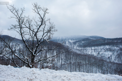 telieste_0028