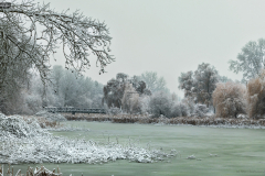 telinap_6324