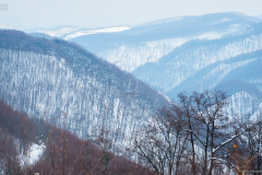 teluto_0474