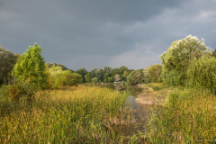 viharelott_3799