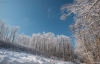 bankutfele_9845