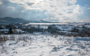ellenfeny_0068