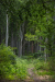 erdo_0588