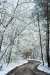 feherseg_8934