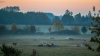 hajnal_k_4481