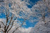 havasfak_9231