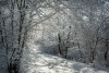 havasut_9237