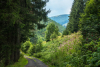 hegyiut_2745