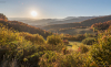 lemeno_k_5159