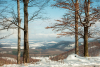 matra_telen_9438