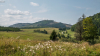mezo_k_3409