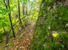 moha_5498_2