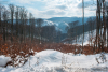 osz_es_tel_0452