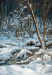 patak_0270