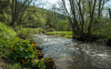 patak_1539