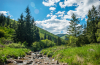 patak_2100